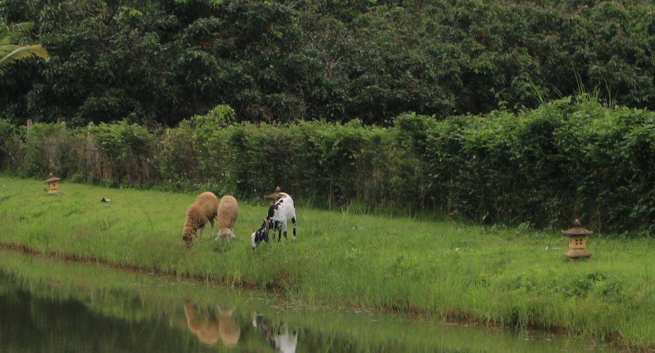 Kalaka Homestay Ban Ban San Sai エクステリア 写真